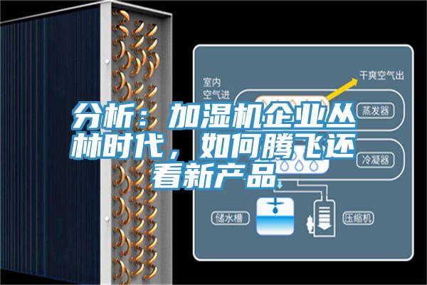 分析：加濕機企業(yè)叢林時代，如何騰飛還看新產(chǎn)品