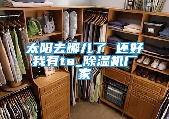 太陽去哪兒了 還好我有ta_除濕機(jī)廠家