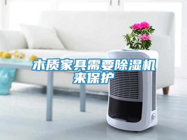 木質(zhì)家具需要除濕機(jī)來保護(hù)