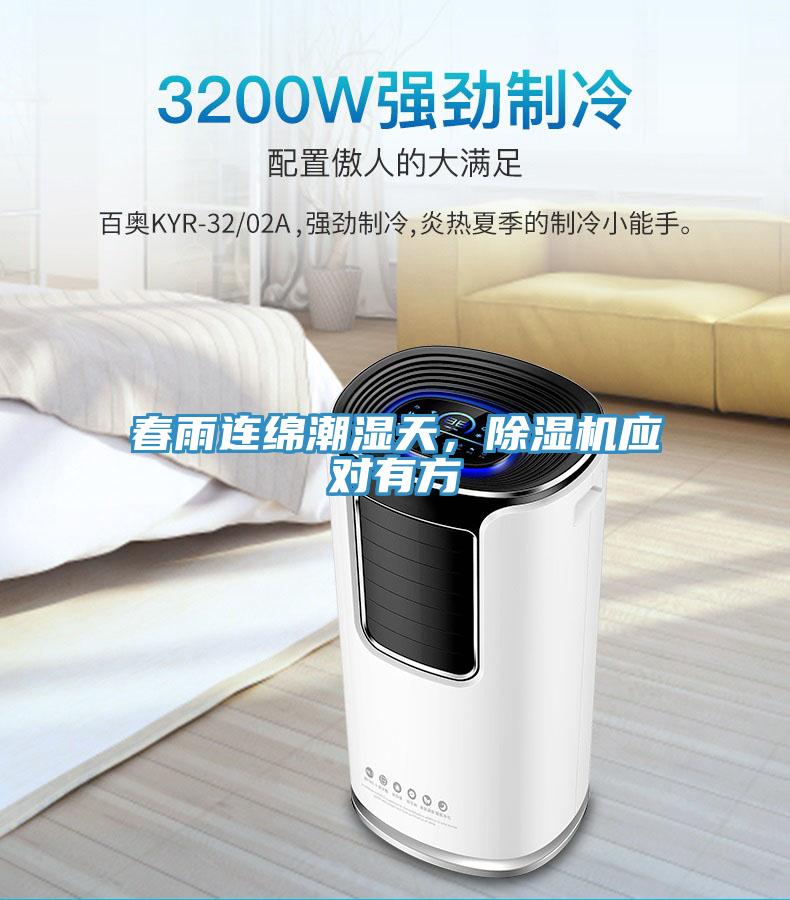 春雨連綿潮濕天，除濕機應對有方