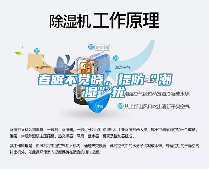 春眠不覺曉，提防“潮濕”擾