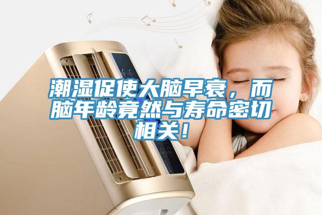 潮濕促使大腦早衰，而腦年齡竟然與壽命密切相關(guān)！