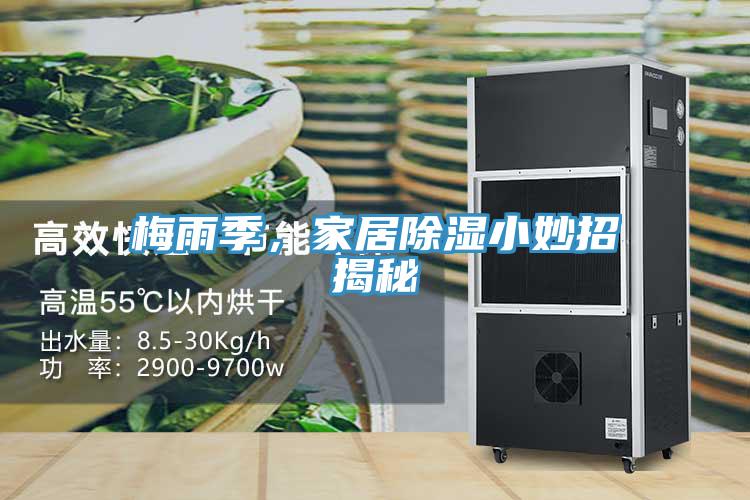 梅雨季，家居除濕小妙招揭秘