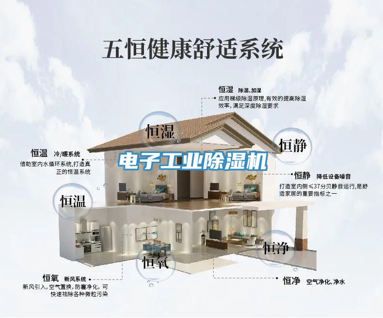 電子工業(yè)除濕機