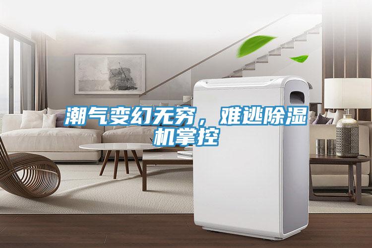 潮氣變幻無窮，難逃除濕機(jī)掌控