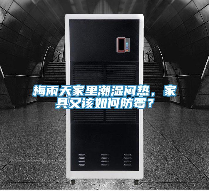 梅雨天家里潮濕悶熱，家具又該如何防霉？