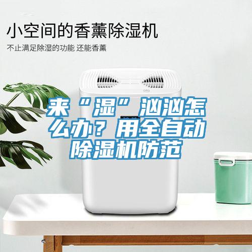 來“濕”洶洶怎么辦？用全自動除濕機防范