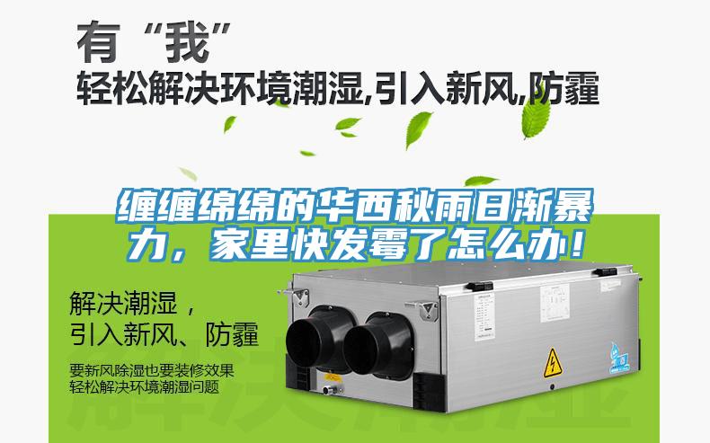 纏纏綿綿的華西秋雨日漸暴力，家里快發(fā)霉了怎么辦！