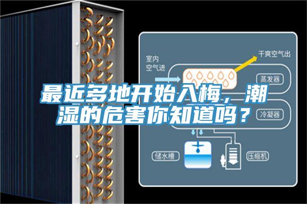 最近多地開始入梅，潮濕的危害你知道嗎？