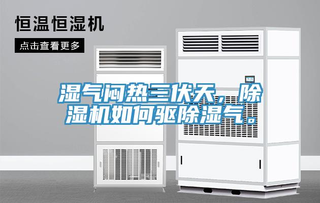 濕氣悶熱三伏天，除濕機如何驅除濕氣。
