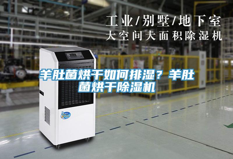 羊肚菌烘干如何排濕？羊肚菌烘干除濕機(jī)