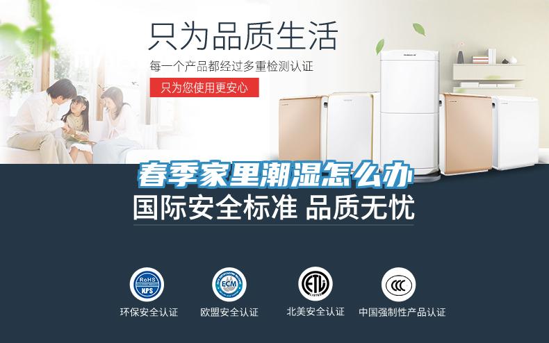 春季家里潮濕怎么辦