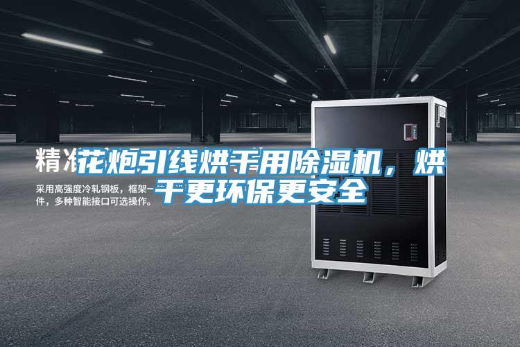花炮引線烘干用除濕機，烘干更環(huán)保更安全