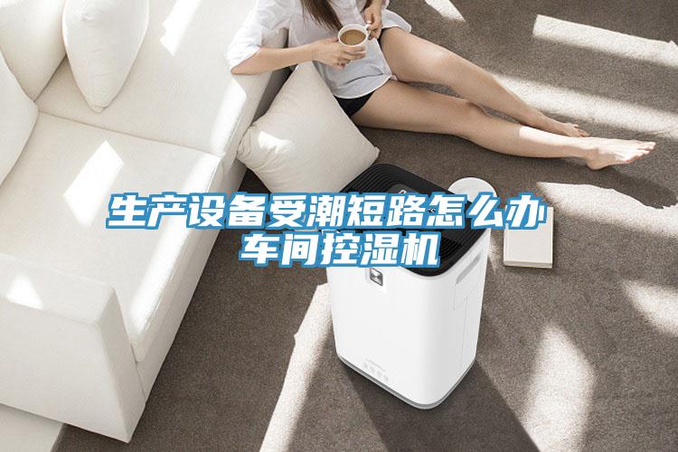 生產(chǎn)設(shè)備受潮短路怎么辦 車間控濕機(jī)