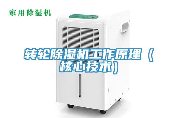 轉(zhuǎn)輪除濕機(jī)工作原理（核心技術(shù)）