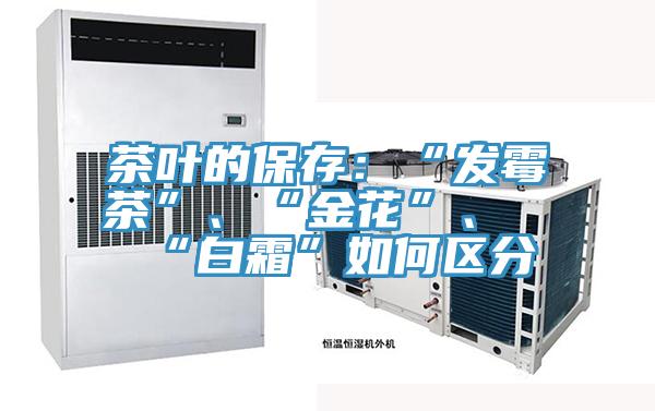 茶葉的保存：“發(fā)霉茶”、“金花”、“白霜”如何區(qū)分