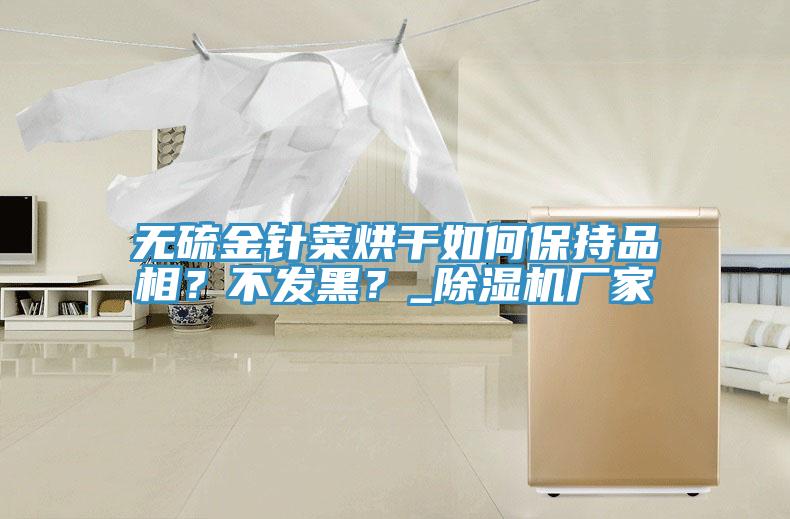 無(wú)硫金針菜烘干如何保持品相？不發(fā)黑？_除濕機(jī)廠家