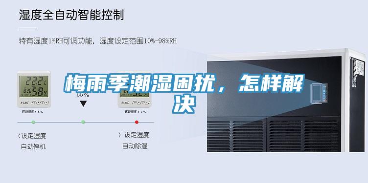 梅雨季潮濕困擾，怎樣解決
