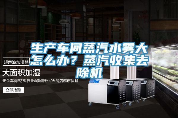 生產(chǎn)車間蒸汽水霧大怎么辦？蒸汽收集去除機