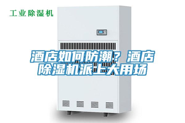 酒店如何防潮？酒店除濕機派上大用場