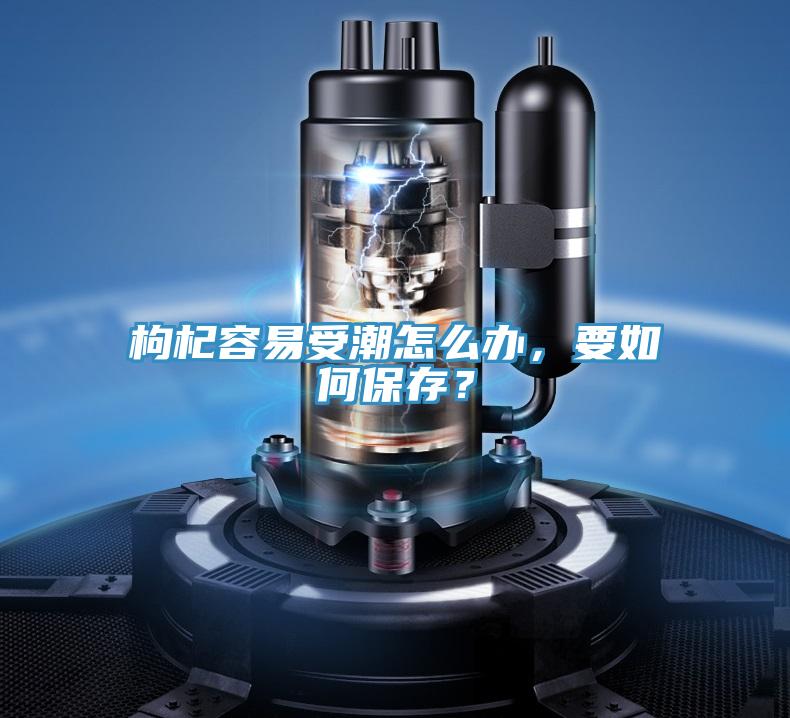 枸杞容易受潮怎么辦，要如何保存？