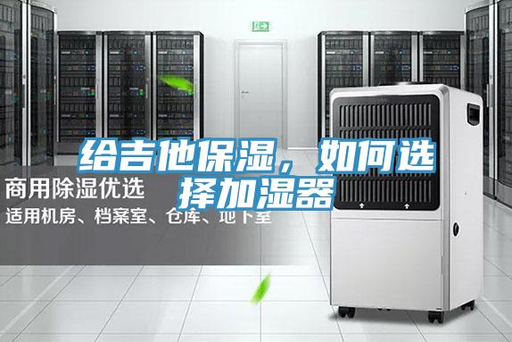 給吉他保濕，如何選擇加濕器