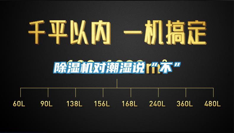 除濕機(jī)對(duì)潮濕說“不”
