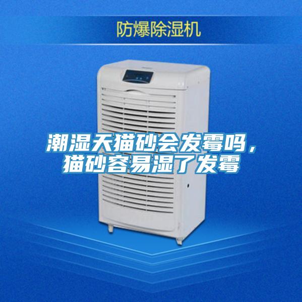 潮濕天貓砂會發(fā)霉嗎，貓砂容易濕了發(fā)霉