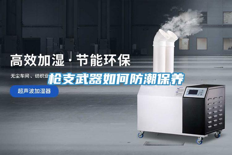 槍支武器如何防潮保養(yǎng)