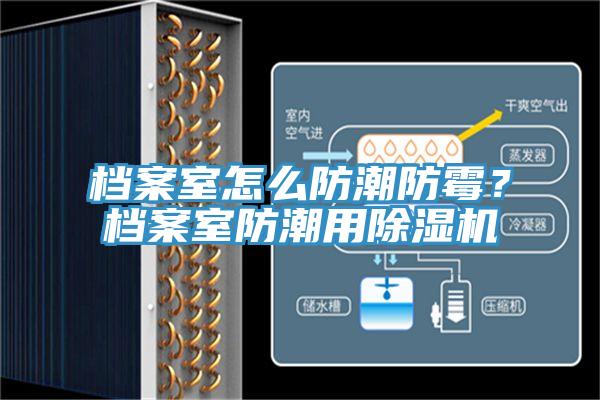 檔案室怎么防潮防霉？檔案室防潮用除濕機