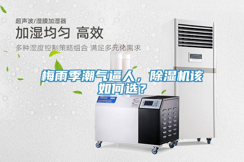 梅雨季潮氣逼人，除濕機(jī)該如何選？