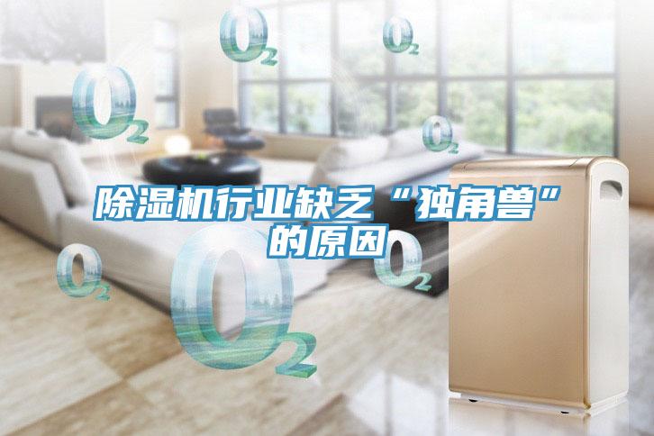 除濕機行業(yè)缺乏“獨角獸”的原因