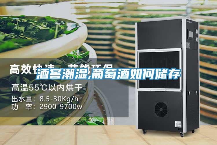 酒窖潮濕,葡萄酒如何儲(chǔ)存