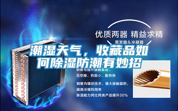 潮濕天氣，收藏品如何除濕防潮有妙招