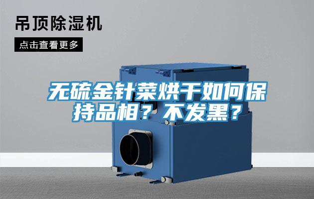 無(wú)硫金針菜烘干如何保持品相？不發(fā)黑？