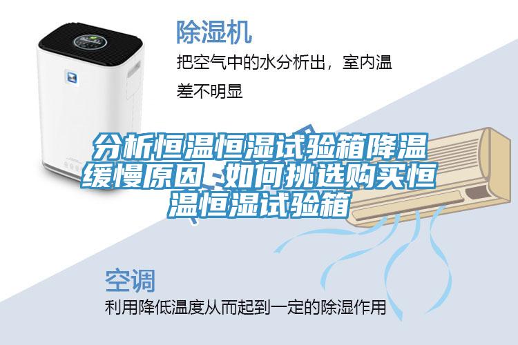 分析恒溫恒濕試驗箱降溫緩慢原因 如何挑選購買恒溫恒濕試驗箱