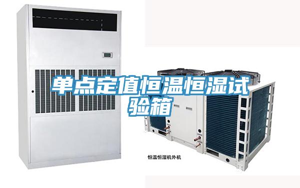 單點(diǎn)定值恒溫恒濕試驗(yàn)箱