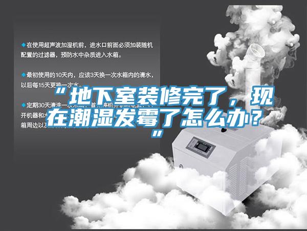 “地下室裝修完了，現在潮濕發(fā)霉了怎么辦？”