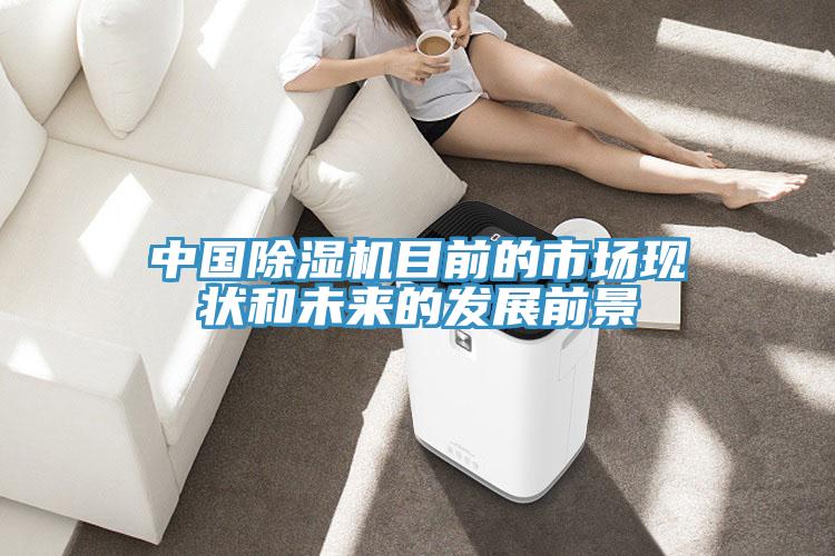 中國除濕機目前的市場現(xiàn)狀和未來的發(fā)展前景
