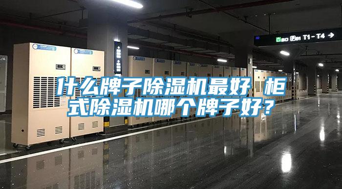 什么牌子除濕機最好 柜式除濕機哪個牌子好？