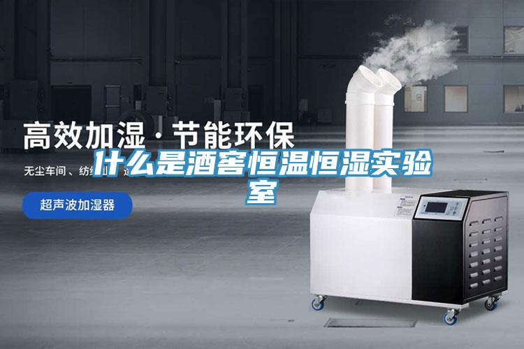 什么是酒窖恒溫恒濕實(shí)驗(yàn)室