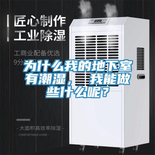 為什么我的地下室有潮濕， 我能做些什么呢？