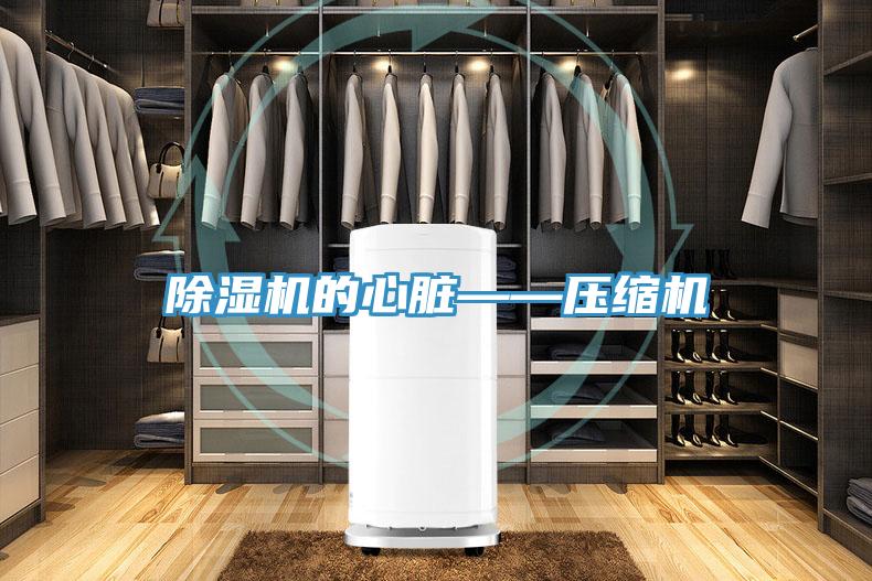 除濕機(jī)的心臟——壓縮機(jī)