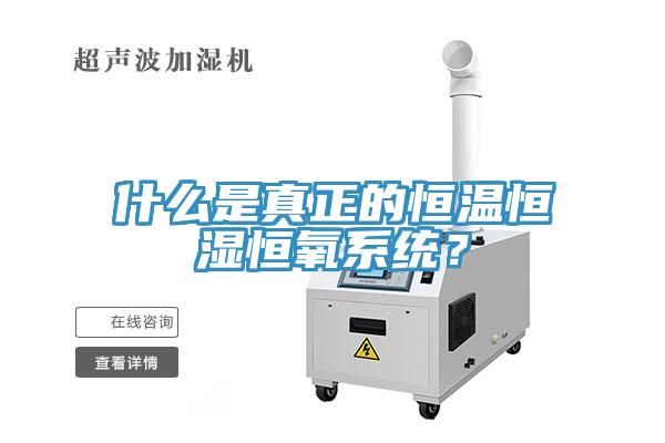 什么是真正的恒溫恒濕恒氧系統(tǒng)？