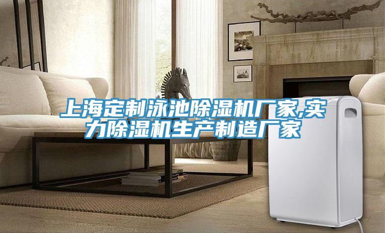 上海定制泳池除濕機(jī)廠家,實力除濕機(jī)生產(chǎn)制造廠家
