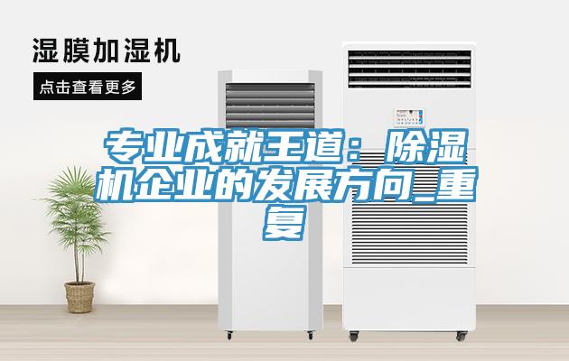 專業(yè)成就王道：除濕機(jī)企業(yè)的發(fā)展方向_重復(fù)