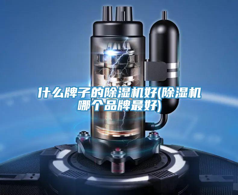 什么牌子的除濕機(jī)好(除濕機(jī)哪個品牌最好)