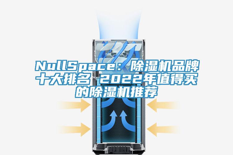 NullSpace：除濕機(jī)品牌十大排名 2022年值得買的除濕機(jī)推薦