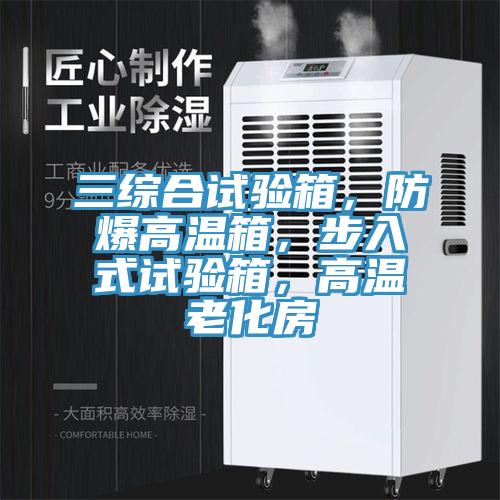三綜合試驗箱，防爆高溫箱，步入式試驗箱，高溫老化房