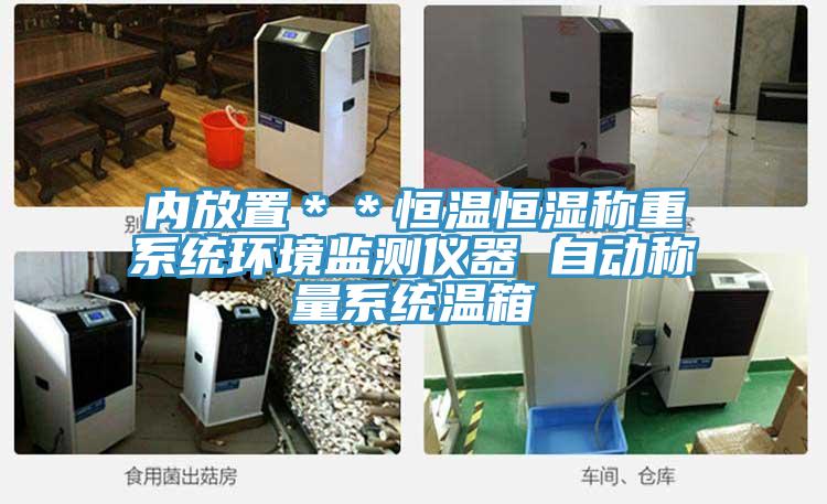 內(nèi)放置＊＊恒溫恒濕稱重系統(tǒng)環(huán)境監(jiān)測(cè)儀器 自動(dòng)稱量系統(tǒng)溫箱